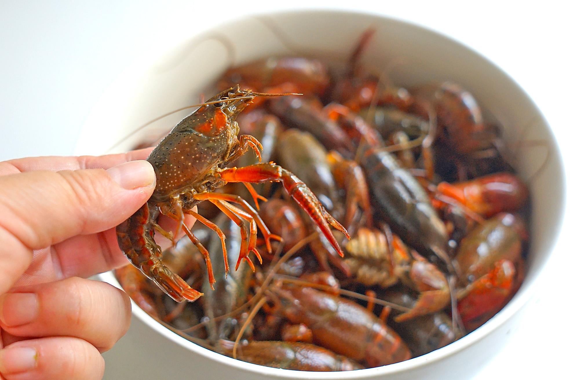 How to select crayfish